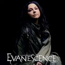 LOVELY_AMY_HQ_GALLERY_Evanescence_648274.jpg