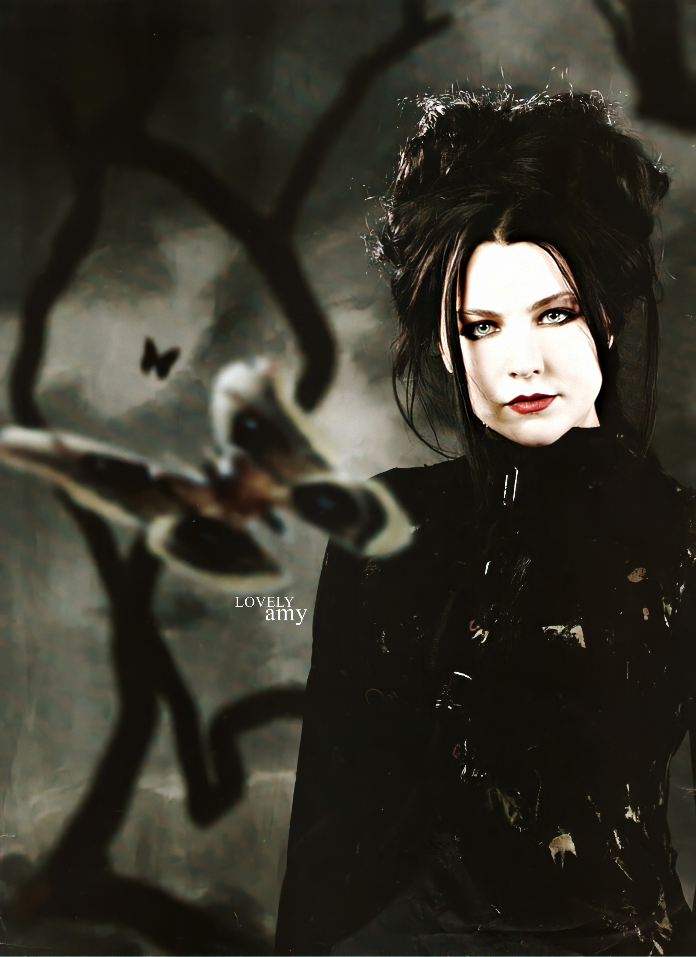 2400x3298
Keywords: amy lee;photoshoot;the open door;black and white;butterfly