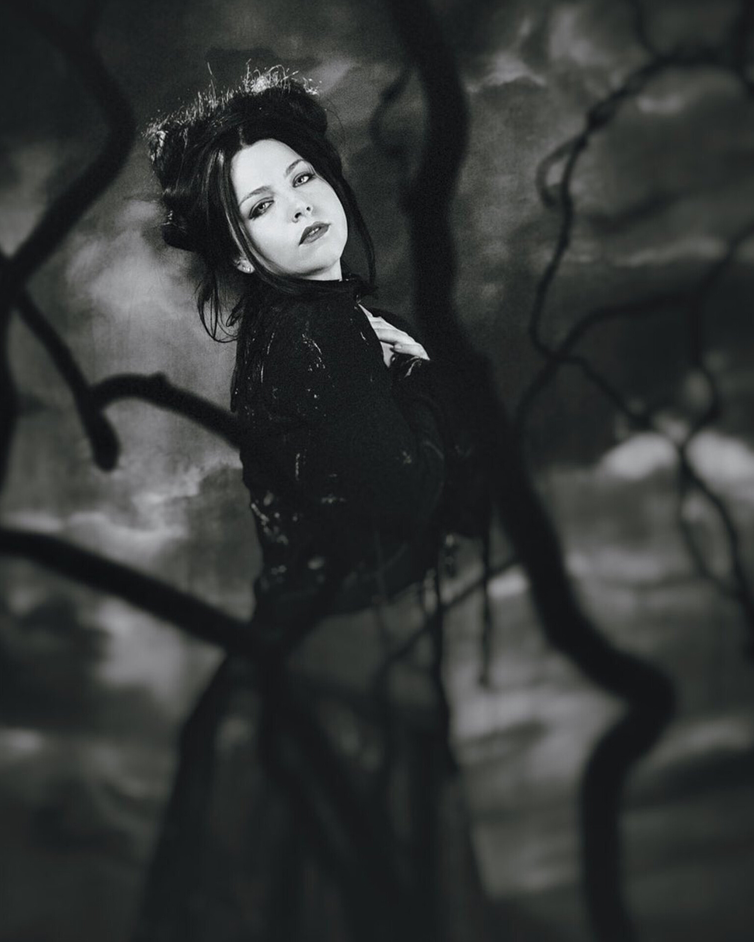 2458x3072
Keywords: amy lee;photoshoot;the open door;black and white;butterfly